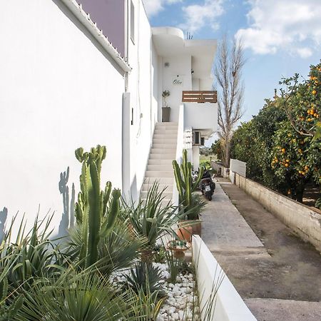 Olea Luxury Apartment أفانتو المظهر الخارجي الصورة