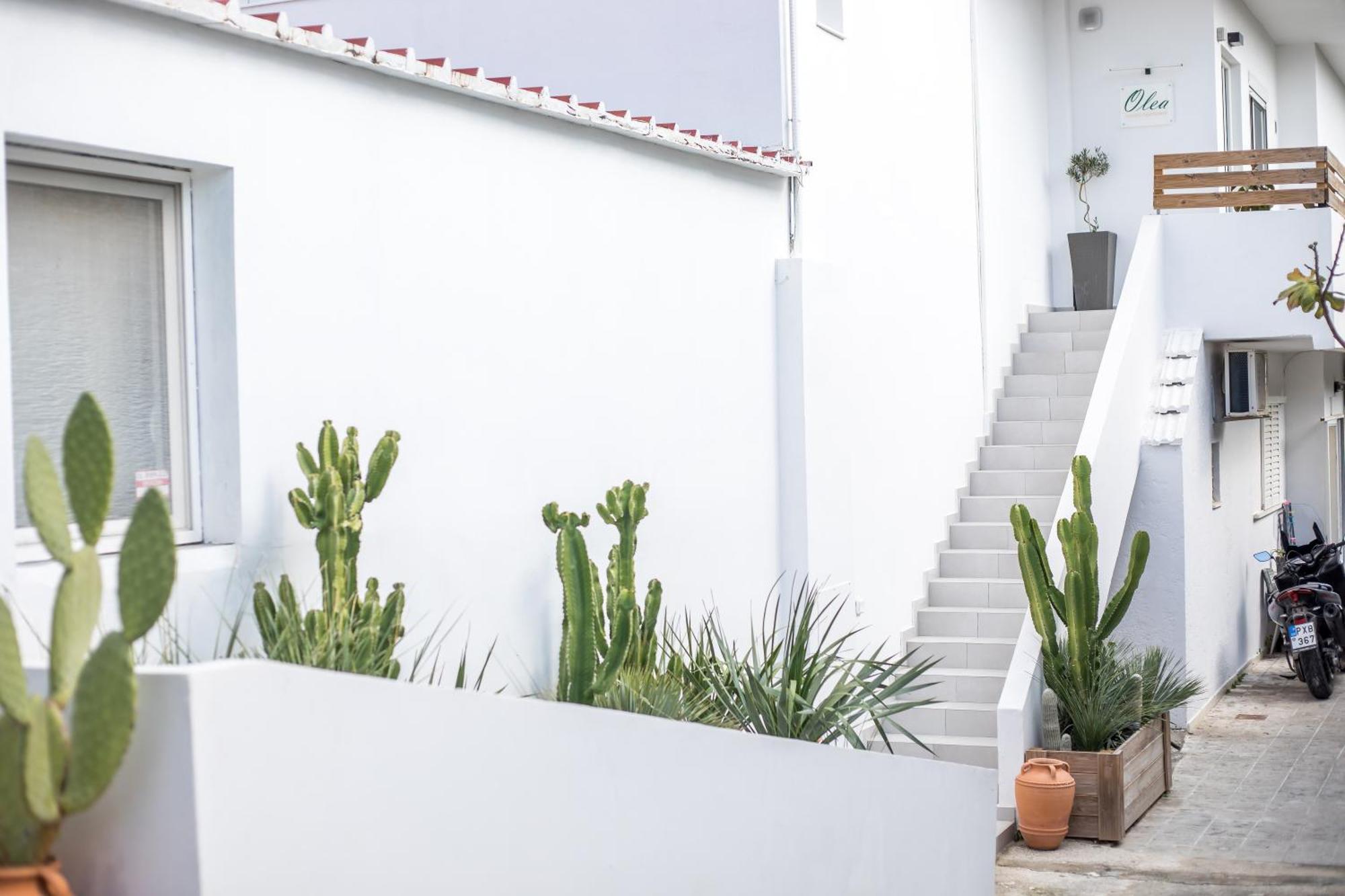 Olea Luxury Apartment أفانتو المظهر الخارجي الصورة