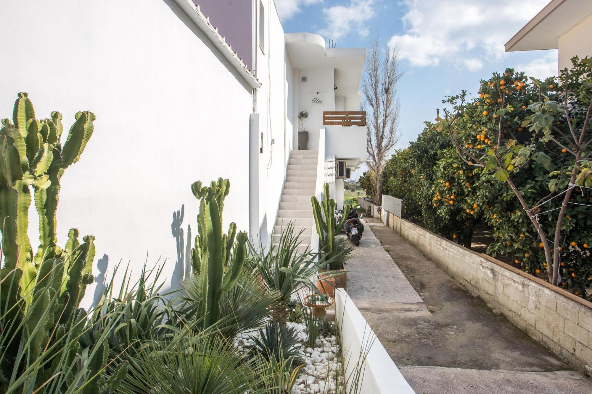 Olea Luxury Apartment أفانتو المظهر الخارجي الصورة